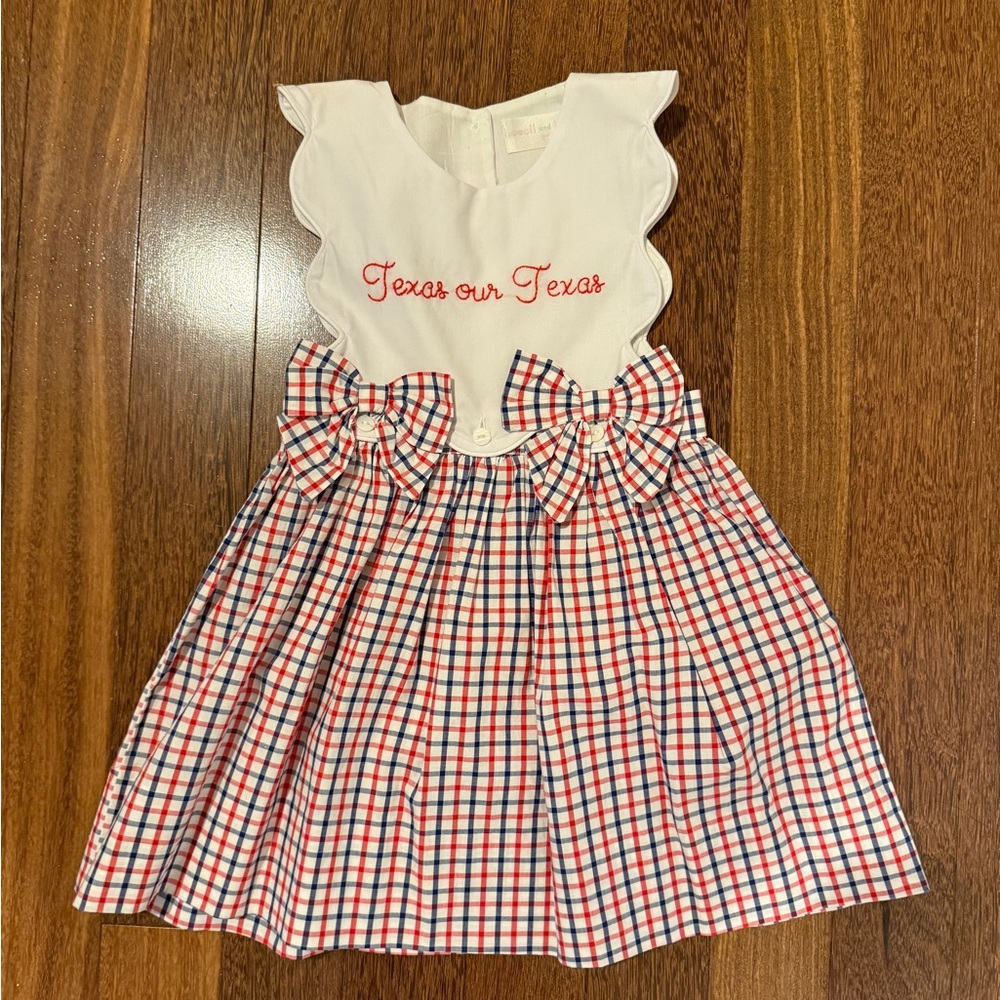 Embroidered Texas Our Texas gingham dress